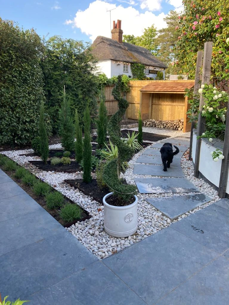 Garden with stone path, white pebbles, topiary plants, and a black dog walking toward a wooden shed.